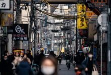 market dynamics analysis report