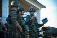 operational insights for entities