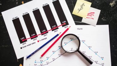 sector progress insights report