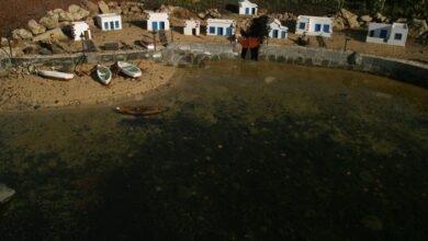 scaling with intelligent growth